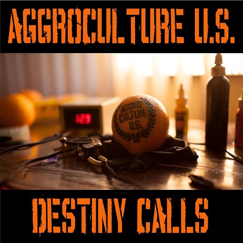 AggroCulture U.S. - Destiny Calls 7" EP (Green Clear)